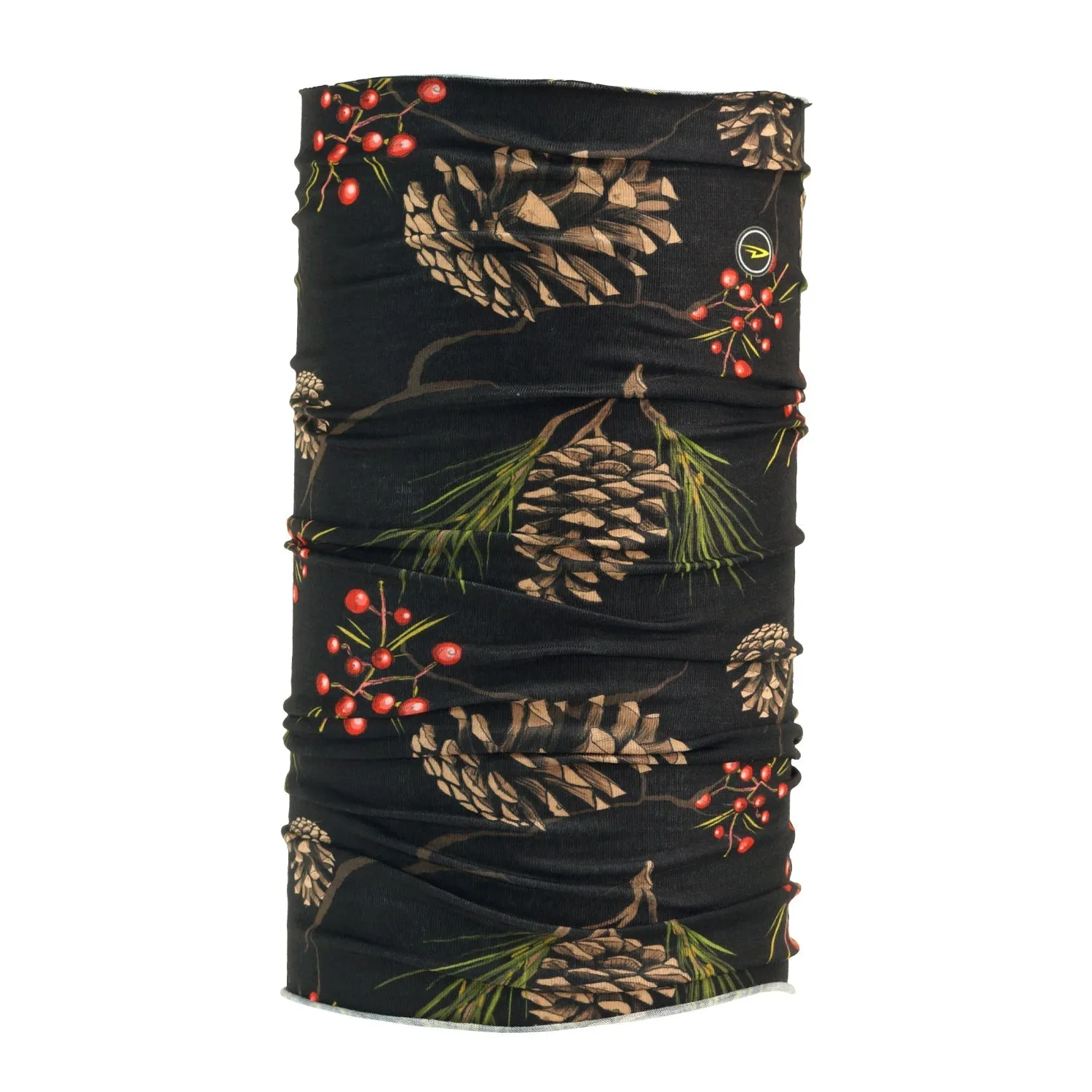 Askott Conifer