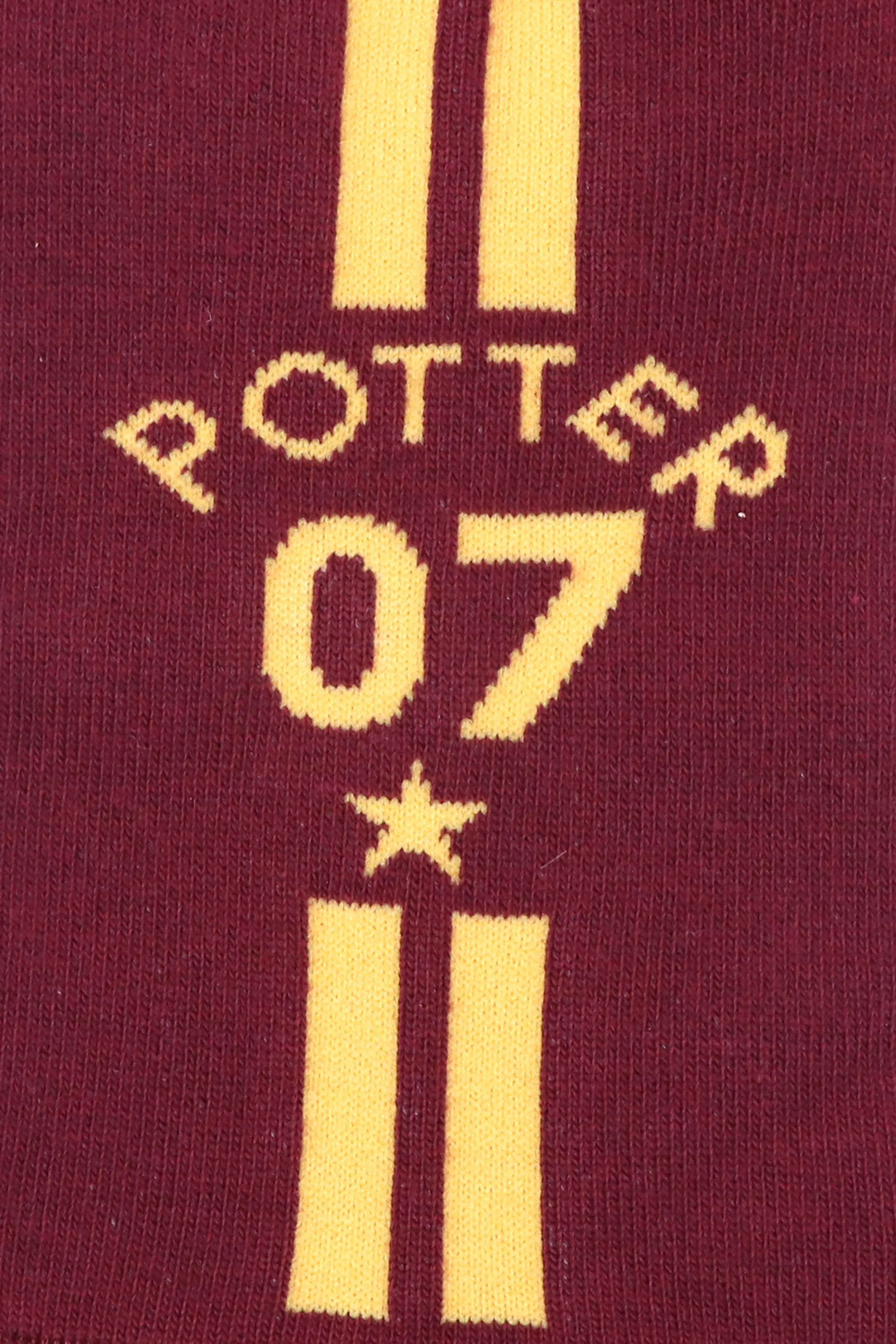 Balenzia x Harry Potter Potter 07 & Harry Potter Logo lowcut Socks for Women (Pack of 2 Pairs/1U)- Maroon