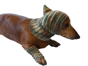 Camouflage kit hat and leggings for dogs, Military kit for dachshunds
